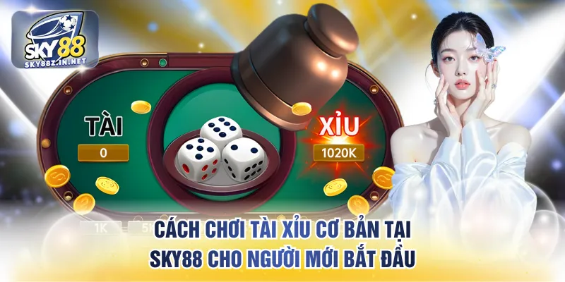 Cách chơi tài xỉu cơ bản tại SKY88 cho người mới bắt đầu