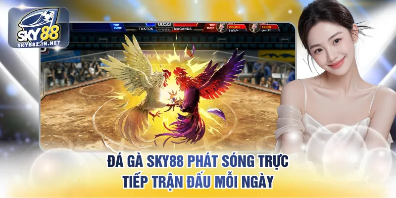 Đá gà SKY88 phát sóng trực tiếp trận đấu mỗi ngày