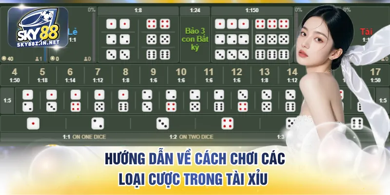 Hướng dẫn về cách chơi các loại cược trong tài xỉu 