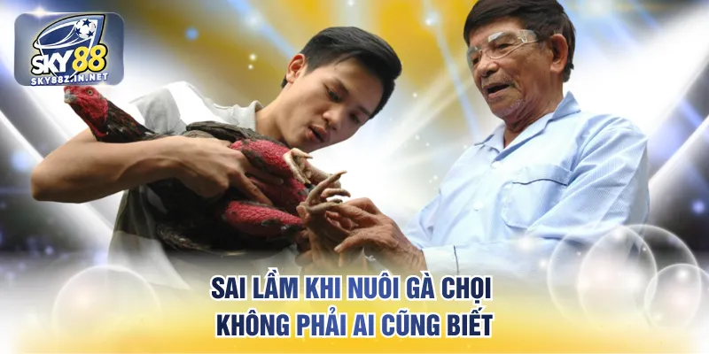 Sai lầm khi nuôi gà chọi không phải ai cũng biết