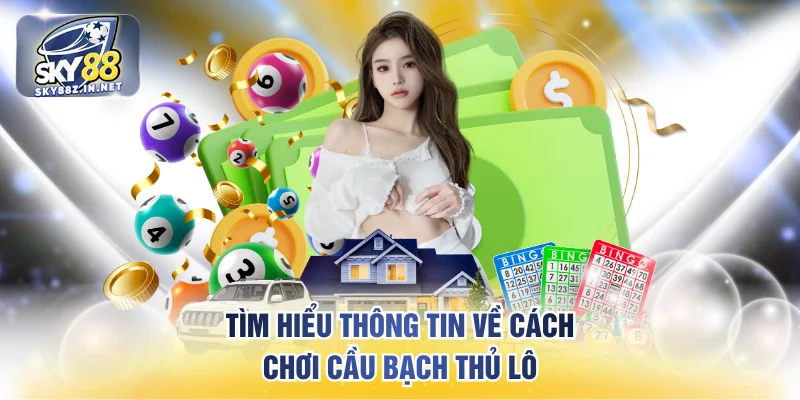 Tìm hiểu thông tin về cách chơi cầu bạch thủ lô